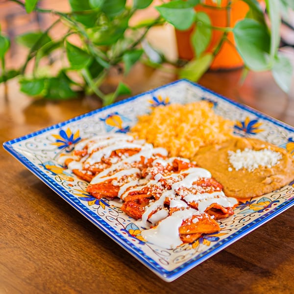El Arriero Taqueria's enchiladas with rice and refried beans on a colorful square plate.